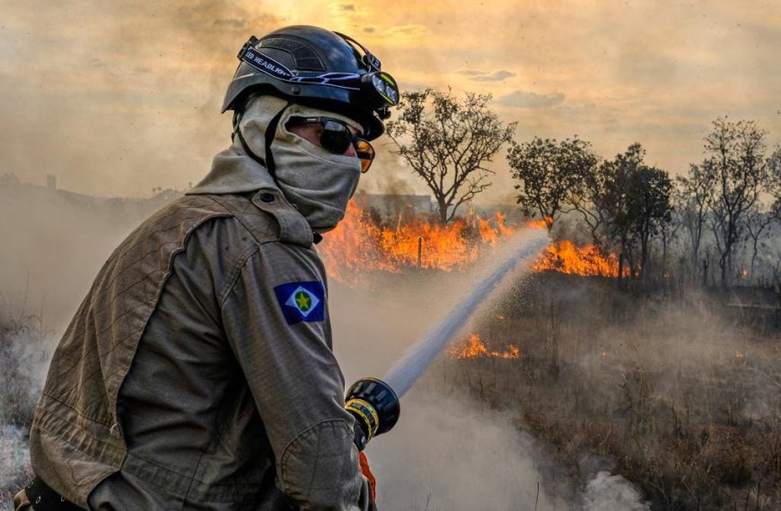 Período proibitivo de uso do fogo com prazos ampliados e diferentes para Amazônia, Cerrado e Pantanal é estabelecido no MT