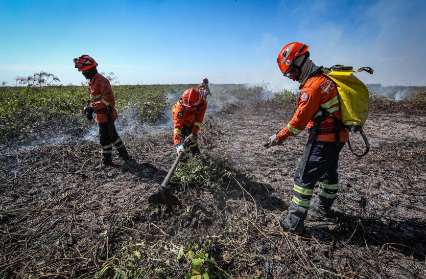 Corpo de Bombeiros combate oito incêndios florestais em MT nesta quarta-feira (24)
