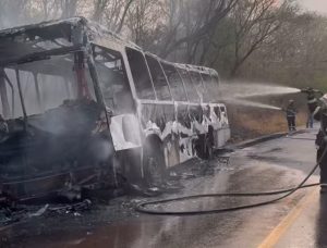 Motorista escapa pela janela de ônibus em chamas em Rondonópolis; vídeo