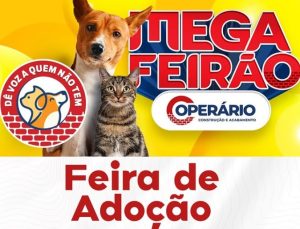 Operário promove feira de adoção animal em Rondonópolis