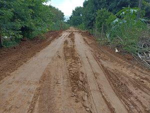 Agricultura realiza restauração de 3,5 km de estrada na Vila do Naboreiro