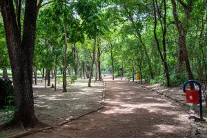 Vítima é rendida, roubada e ameaçada com faca durante atividade no Horto Florestal em Rondonópolis