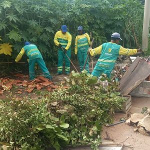 Operação de limpeza retira 20 toneladas de lixo no bairro Santa Amália