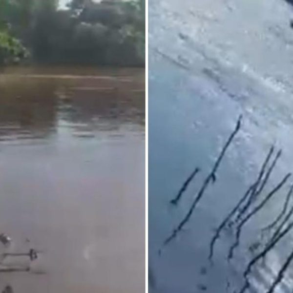 Vídeo desesperador mostra adolescente afogando e desaparecendo no Rio Paraguai em MT; corpo foi encontrado