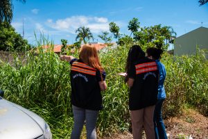 Para garantir limpeza de terrenos, Prefeitura reduz valor de multas e vai protestar débitos