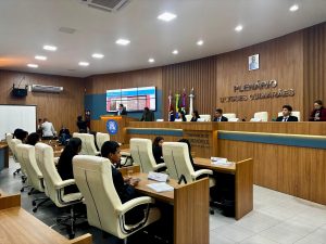 Vereadores Mirins de Rondonópolis realizam primeira sessão ordinária de 2025