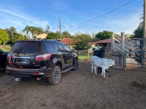 ‘Barões’ do agro em MT são alvos de operação por grilagem de terras e lavagem no Pará