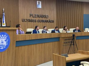 CEI da Santa Casa define oitivas com representantes da Apor