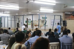 Leilões da 51ª Exposul devem superar movimentação de negócios do ano passado
