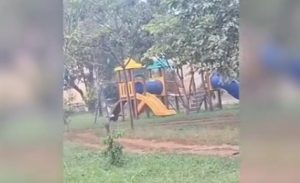 Balanço onde homem se enforcou continua se movendo sozinho mesmo após ser retirado de parque no interior