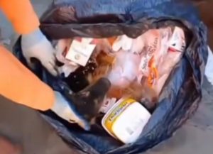 Garis impedem que cachorro jogado vivo no lixo seja triturado em MT; veja vídeo