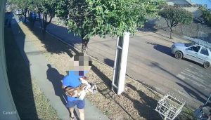 Cadela vira-lata recém-resgatada leva tiro no olho em plena rua de Rondonópolis; vídeo revolta