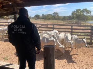 Quadrilha sequestra família e rouba 90 bois em MT; fazendeiro receptador é preso