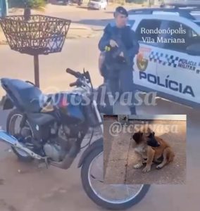 Faccionado covarde é detido após atropelar de propósito cachorro em Rondonópolis; vídeo