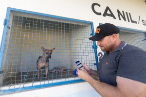 Prefeitura passa a oferecer serviços para bem-estar animal pelo aplicativo