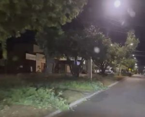 Empresa terceirizada faz poda de árvores, deixa sujeira e gera revolta de moradores em Rondonópolis; vídeo
