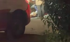 Tornozelado é assassinado no meio da rua por pistoleiros em MT; vídeo