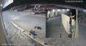 Vídeos mostram vigilante reagindo a assalto que terminou com 2 mortos; bandido se suicidou na ação