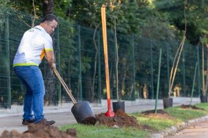 Prefeito Cláudio marcará Dia da Árvore com mutirão de plantio de mudas