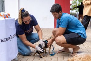 Dia D de Vacinação Antirrábica acontece neste sábado (27) em Rondonópolis; saiba os locais de vacinação