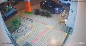 Cachorrinho envenenado morre após tutora atravessar Rondonópolis em desespero para tentar salvá-lo; vídeo