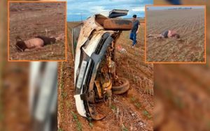 Vídeo mostra homens que foram arremessados durante capotamento impressionante de veículo em MT