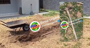 Ajudante mata pedreiro com golpes brutais de picareta em MT; vídeo