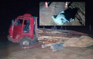 Casal pula de caminhão sem freio e mulher morre esmagada em MT; vídeo