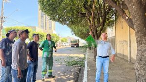Rondonópolis passa a contar com equipe especializada em podas de árvores