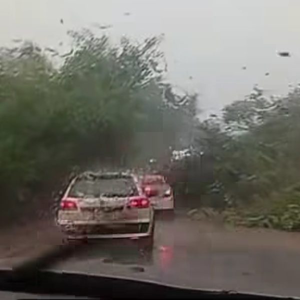 Chuva violenta derrubou árvores e paralisou trânsito na BR-364 entre Rondonópolis e Pedra Preta; vídeo