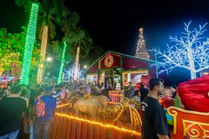 Abertura do Natal do Amor reúne milhares de pessoas na praça Brasil; veja a programação
