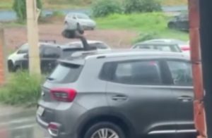 Motoristas caem na porrada após discussão de trânsito em MT; vídeo