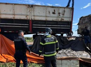 Motorista escapa da morte após carreta carregada com defensivos e pegar fogo