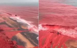 Mar fica vermelho em praia no Irã; web lembra sinal bíblico