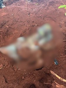 Corpo decapitado por facção é encontrado em cova rasa e segue para o IML de Rondonópolis; vídeos