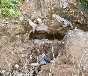 Corpo com os pés e mãos amarrados é encontrado por trabalhadores no meio do lixo em MT; vídeo