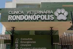 Seu pet mudou o comportamento? Clínica Veterinária faz alerta aos tutores em Rondonópolis