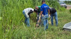 Corpo com sinais de tortura é encontrado às margens da BR-364; vídeo