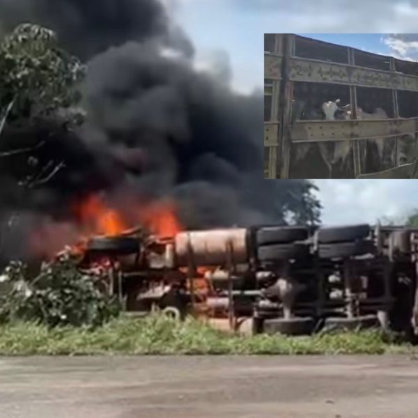 Carreta boiadeira fica em chamas após colidir com Uno e dois morrem na BR-070 em MT; vídeo