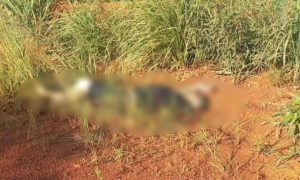 Identificado homem encontrado morto com diversos tiros no rosto e na cabeça em Rondonópolis