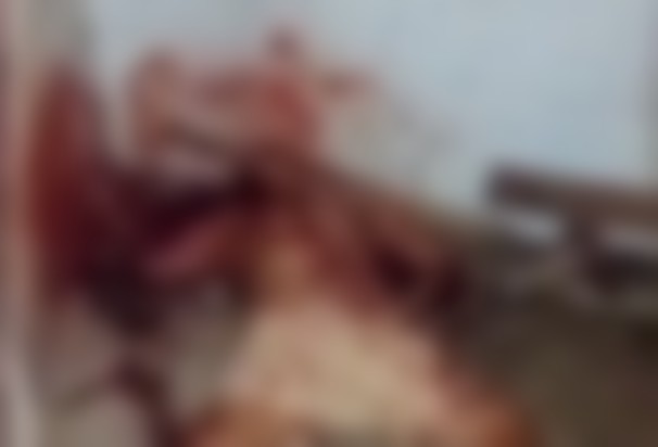 Pedófilo é brutalmente castigado por populares após vídeo revelar abuso de criança; assista