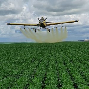 SELL AGRO: Agrishow será palco do lançamento de adjuvante biodegradável à base de óleo de laranja