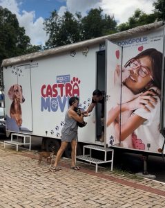 Programa de castração avança e atende 735 animais na Vila Operária