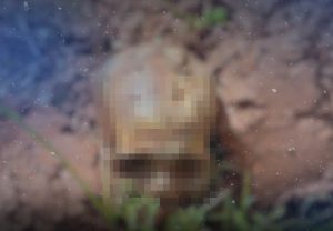 Durante manutenção, funcionário encontra ossada humana em creche municipal