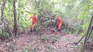 Corpo sem cabeça é encontrado em área rural e brutalidade choca Rondonópolis