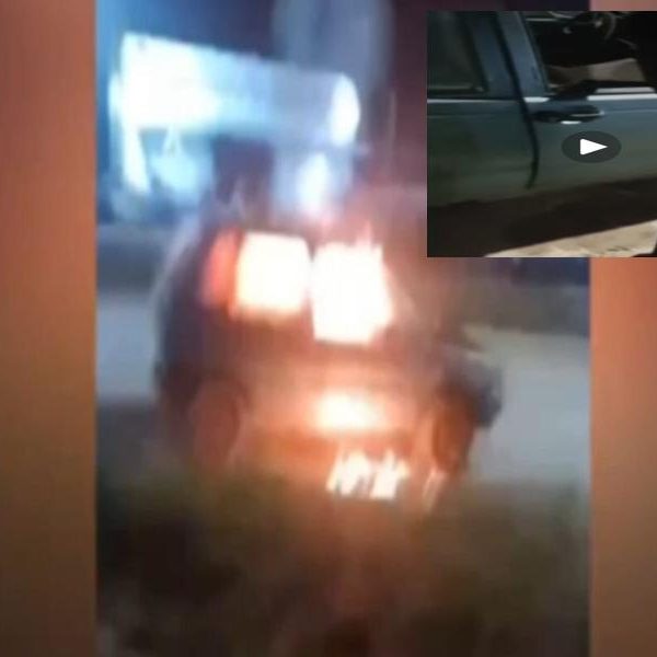 Grupo usa Discord para transmitir incêndio criminoso e incentivar barbaridades em MT; assista