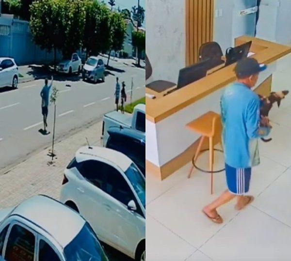 Rondonópolis: vídeo mostra morador de rua resgatando cão atropelado e tentando salvar vida do animal