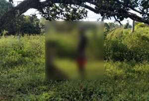 PM encontra corpo pendurado em árvore em propriedade na Zona Rural
