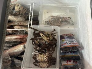 Procon flagra frutos do mar sem validade e produtos “misteriosos” em comércio no Centro de Rondonópolis