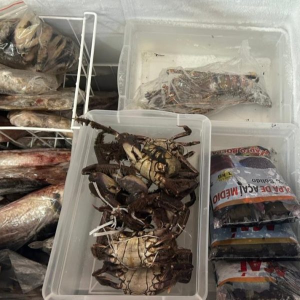 Procon flagra frutos do mar sem validade e produtos “misteriosos” em comércio no Centro de Rondonópolis